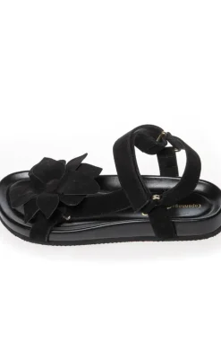 Clearance Sandaler - My Flowers - Black Sandaler