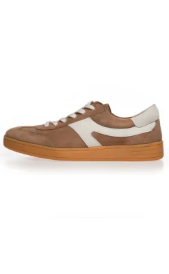 Hot Sneaker - Freak Out - Taupe Sneakers