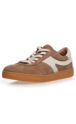 Hot Sneaker - Freak Out - Taupe Sneakers