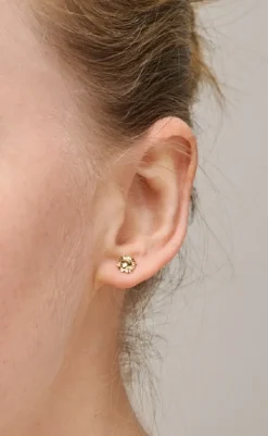 Hot Øreringe - Studs Sunshine - Gold Colour Smykker