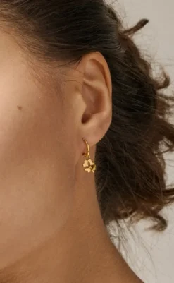 New Øreringe - Small Classic Hoops - Gold Colour Smykker