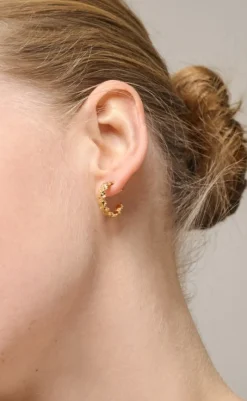 Hot Øreringe - Sunshine Wreath - Gold Colour Smykker