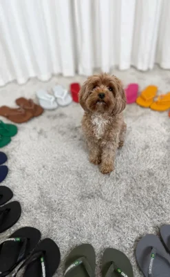 Clearance Klipklappere - Brasil Logo - Brown/White Sandaler