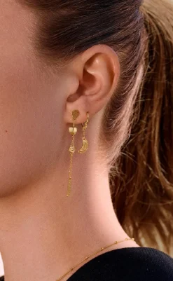 Best Øreringe - Delfine - Gold Colour Smykker