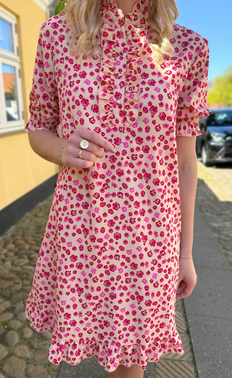 Hot Kjole - Philine - Pink / Red Flowers Kjoler