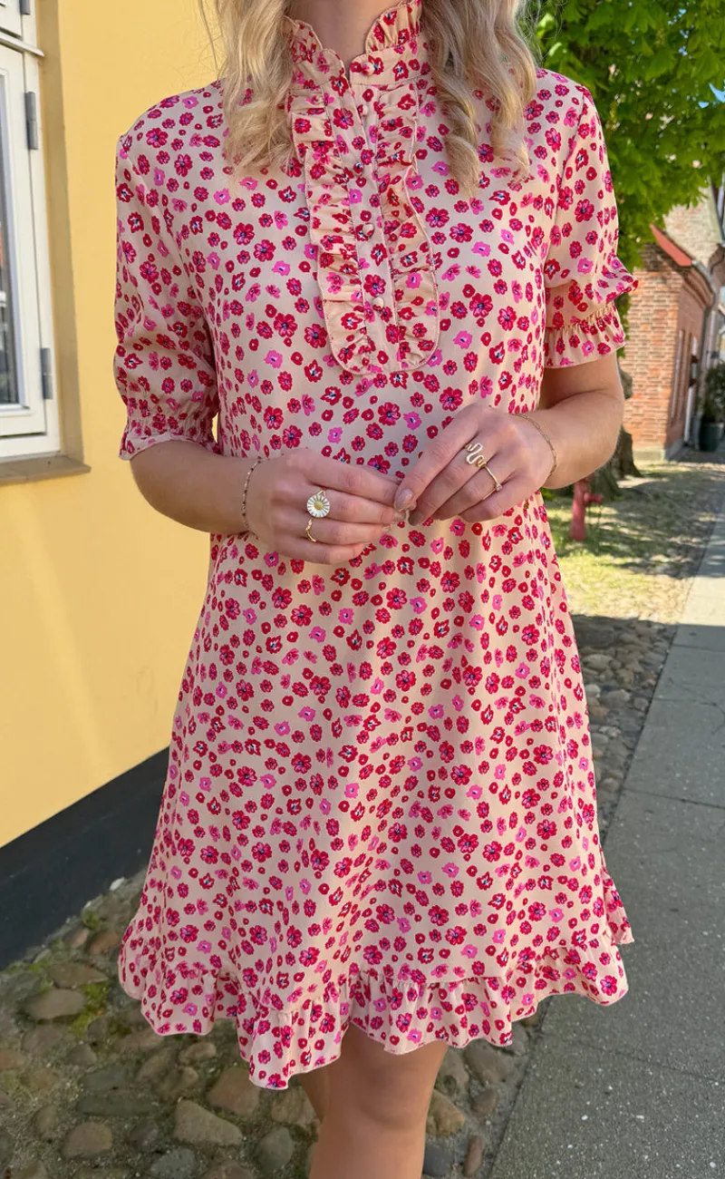 Hot Kjole - Philine - Pink / Red Flowers Kjoler